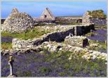  Inishmurray Island