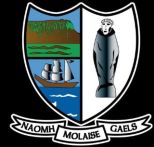  Molaise Gaels GAA Club